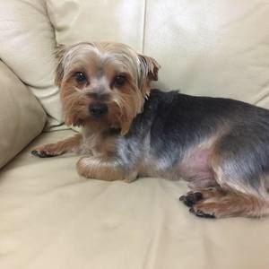 Meet your Posher, Ada